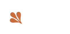 Jefferson Regional Foundation | Pittsburgh, PA